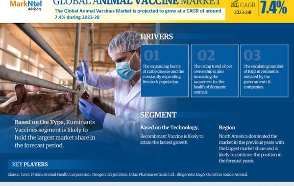 Animal Vaccine Market 2028 – Size, Share, Trends, Future and Forecast