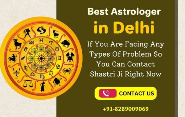 Best Astrologer in Delhi -