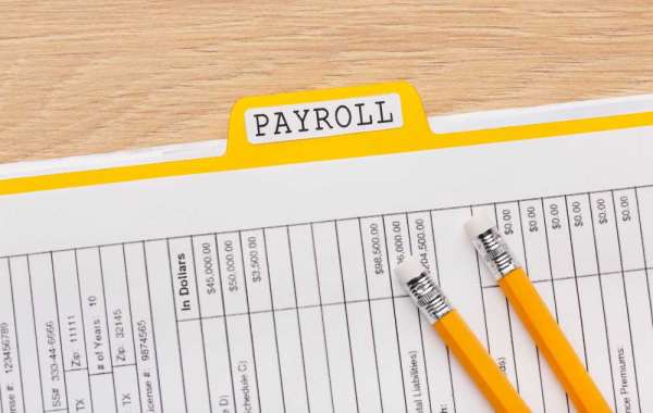Top Payroll Software Solutions for Businesses in India