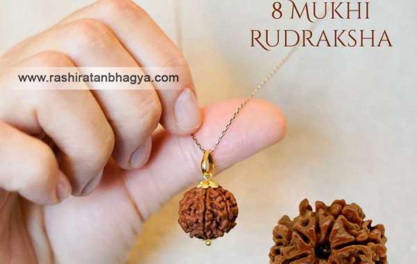 Buy 8 Mukhi Rudraksha Online at Rashi Ratan Bagya