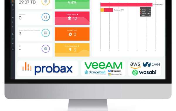 Streamline Your Data Management with Probax Scout