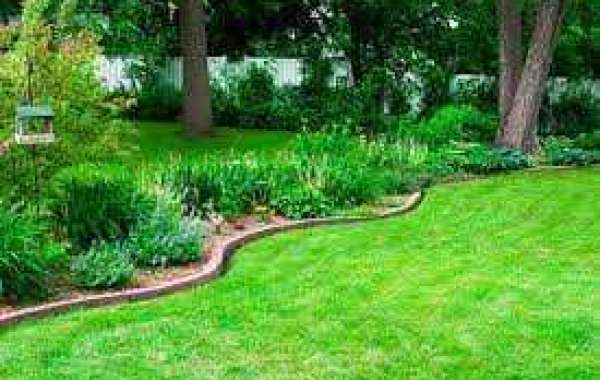 Landscape Company in UAE