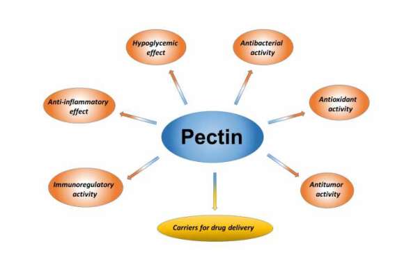 Research Progress of Pectin and Its Medical Application