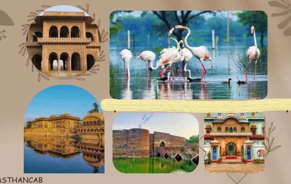 Rajasthan Tour Package from Jaipur