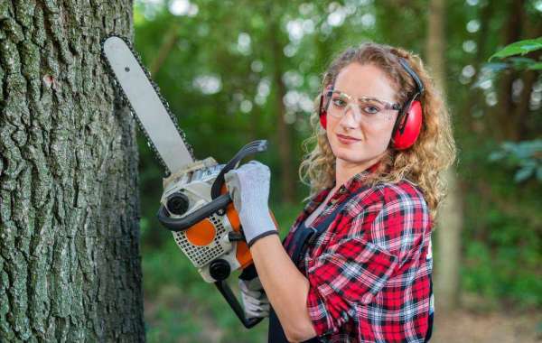 Safely Removing Hazardous Trees Removal in Sarasota