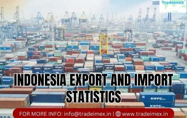 Key Data Points in Indonesia Import Data: A Comprehensive Analysis