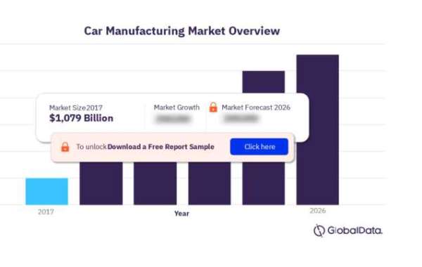 Accelerating Growth: Opportunities for Expansion in the Car Manufacturing Market