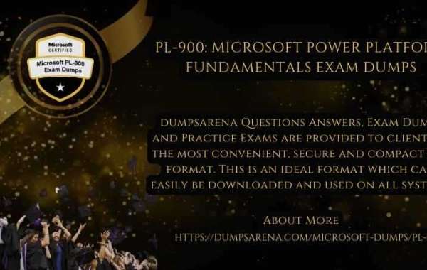 The Power of Microsoft PL-900 Exam Dumps: Tips and Insights
