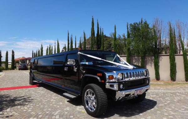Unforgettable Fun: Kids Party Limo Hummer