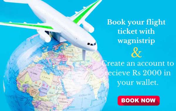 Discover Affordable Flights  Get Cheap Flight Tickets Now