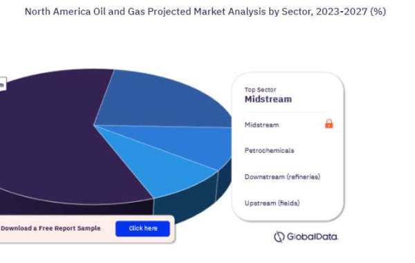 Unveiling the Key Players in the North America Oil and Gas Projects Market