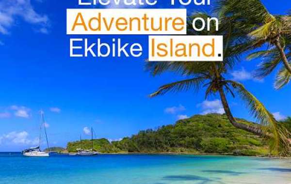 Discover the Top-Rated eBikes for Your Caribbean Adventure
