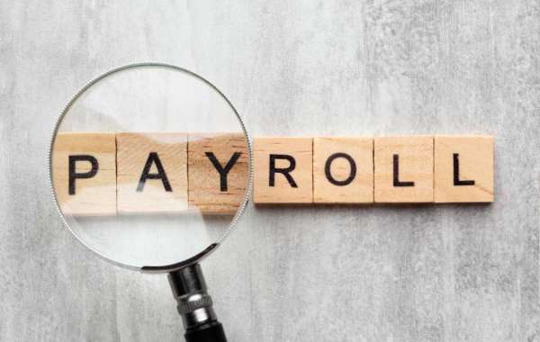 Streamline Your HR Processes With Our Top-Rated Payroll Software