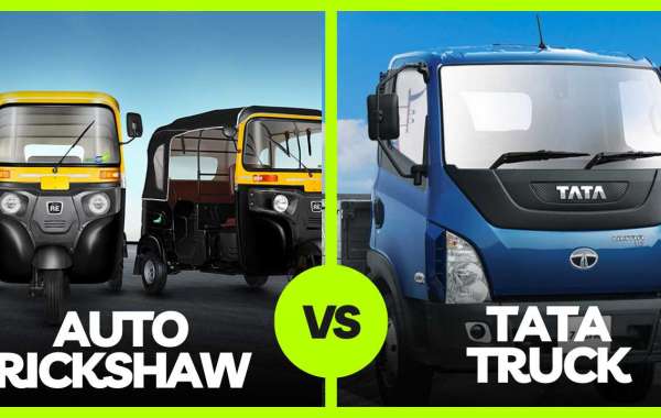 Auto Rickshaw vs. Tata Truck: Better Investment for Business Owners