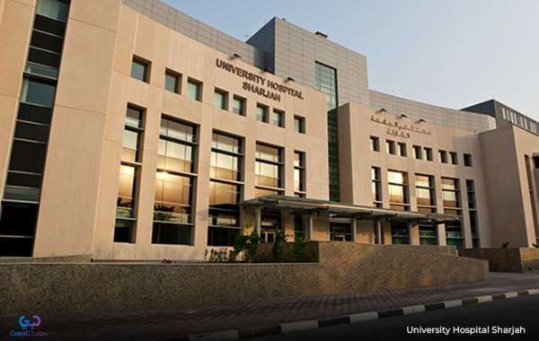 Holistic Healing: Integrative Medicine at Sharjah's Government Hospitals