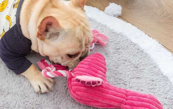 The Benefits of Dog Plush Toys for Comfort and Play