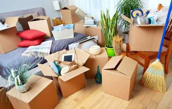 How to Find Reliable and Affordable Movers in San Diego?
