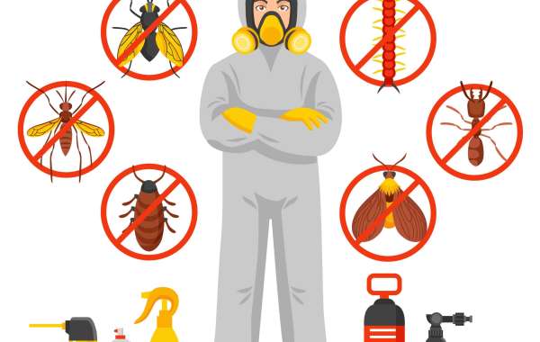 Your Reliable Pest Management Solution in Perth