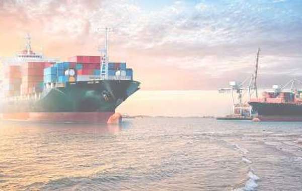 Navigating the Waves: Insights and Best Practices for Sea Freight Companies