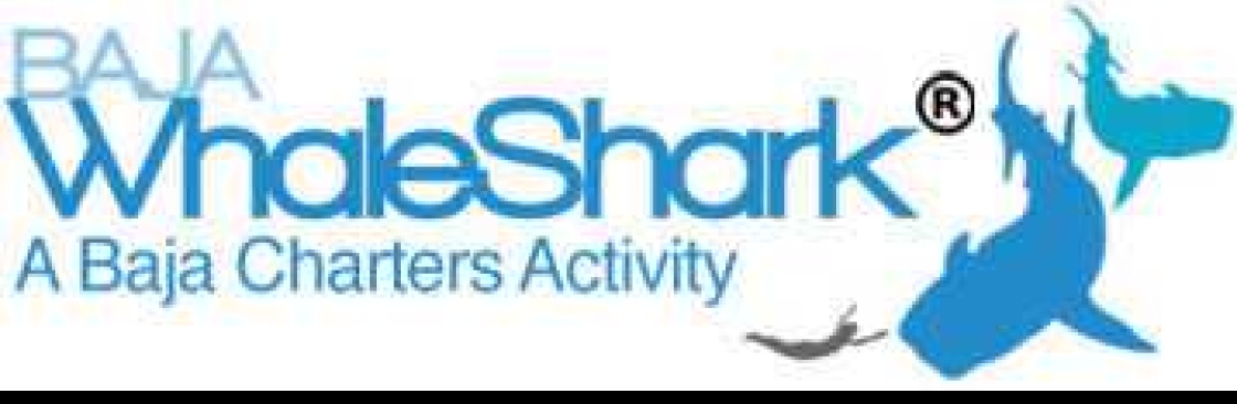 BajaWhale Shark Cover Image