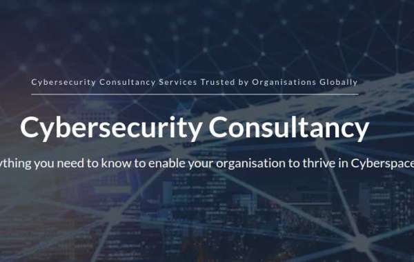 Cyber Consulting