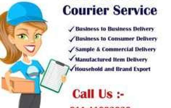 Avail Best International Courier Service Delhi at Rapidex Worldwide Express