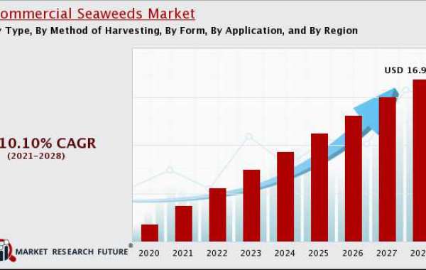Commercial Seaweeds Market Forecast Will Generate New Growth Opportunities in Upcoming Year