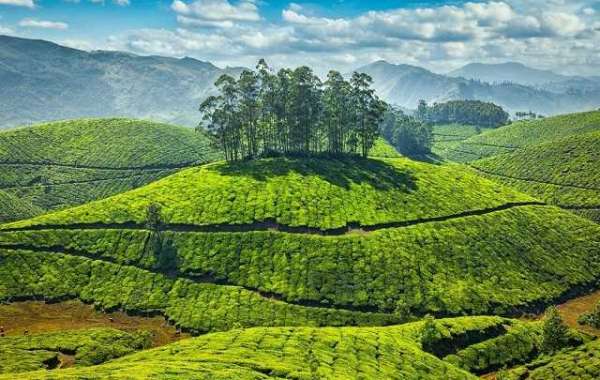 Best time to visit kerala