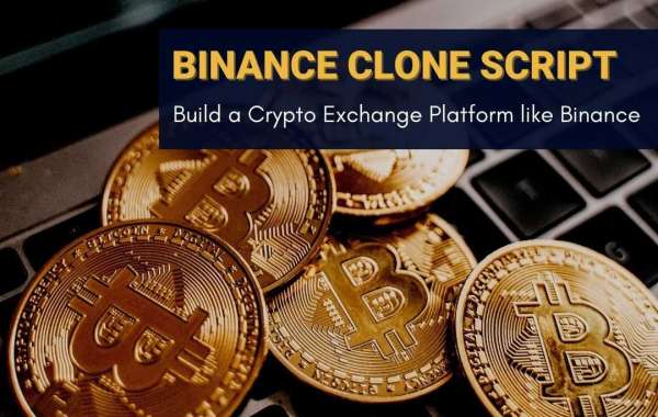 To Launch a Successful Crypto Exchange like Binance Clone