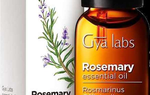 Where to Buy Rosemary Oil for Hair: A Guide to Finding the Perfect Product