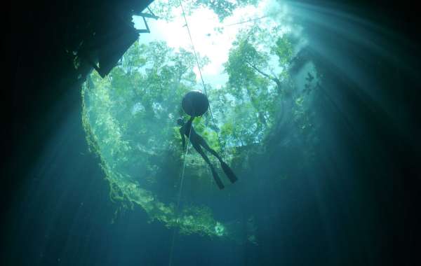 Discover the Depths: Freediving in Mexico - A Fusion of Adventure and Serenity