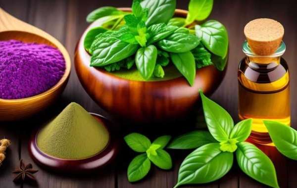 Top-Rated Ayurvedic Doctor in Sydney | Skilled and Experienced Practitioners