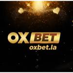 oxbetla oxbetla Profile Picture