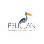Pellicanmigration Profile Picture