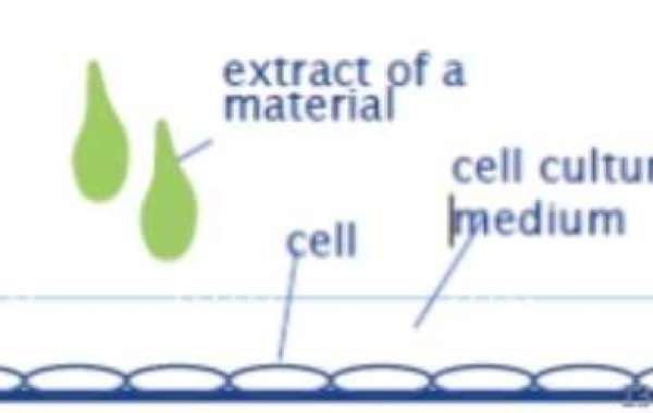 Cytotoxicity Testing