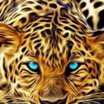 Olivia Cooper Profile Picture