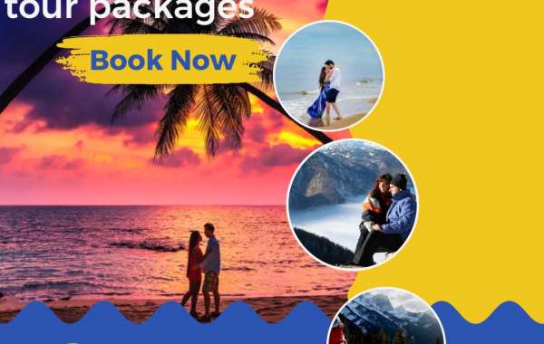 "Love and Adventure Unite: Experience the Magic of Honeymoon India Tour Packages"