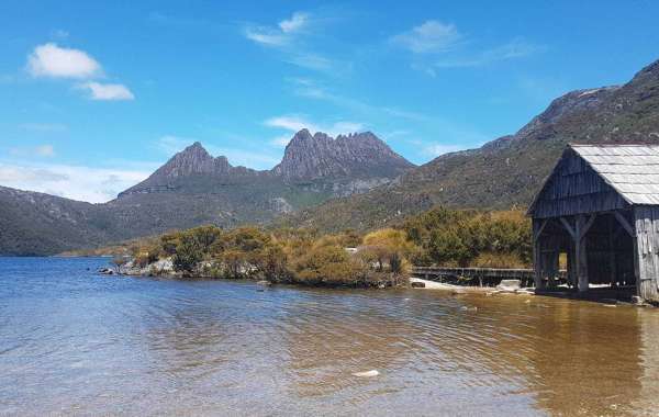 Wildlife Hiking Wilderness Nature Tour Tasmania: Exploring the Untamed Beauty of the Island's Natural Wonders