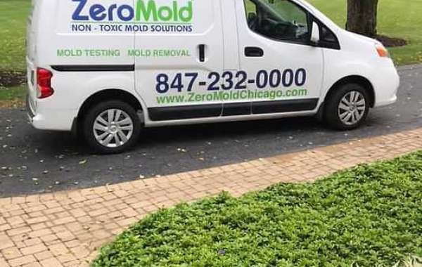 Mold Removal Service and Mold Remediation: Restoring Healthy Homes