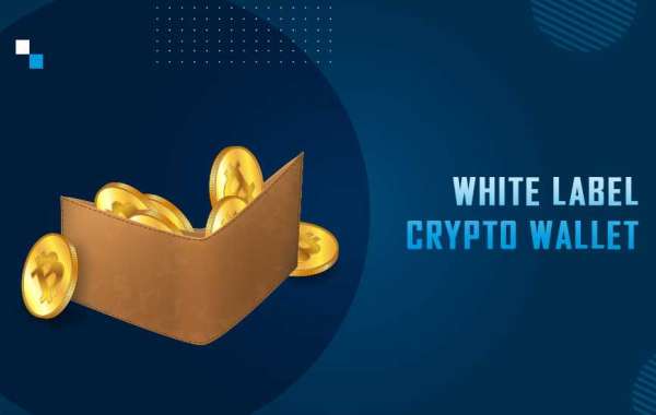 Navigating Compliance Waters: Launch Regulatory-Ready White-Label Crypto Wallet