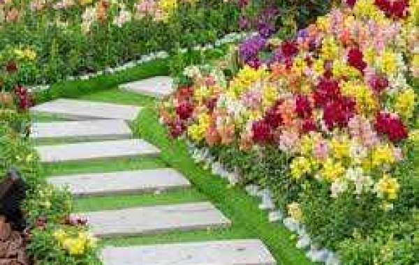 Discover Exceptional Landscaping Services Near You