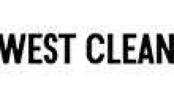 Sparkling Clean: Professional Inner West House Cleaning Services