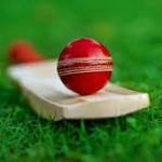 cricketid provider Profile Picture