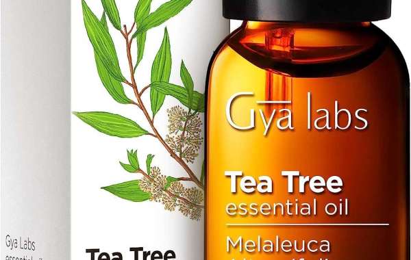 Popular Benefits of Tea Tree Oil