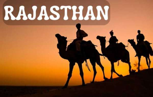 Exploring the Rajasthan Best Tour Package