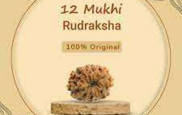 The Divine 12 Mukhi Rudraksha: A Path to Higher Consciousness