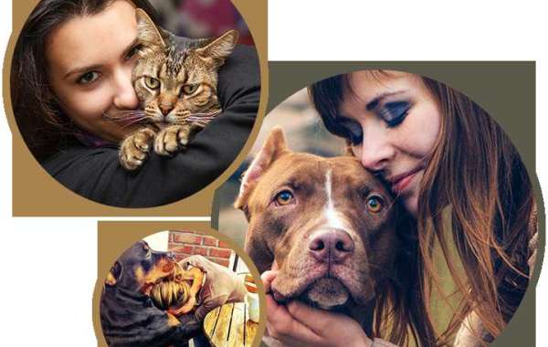 When is the Right Time? Recognizing the Signs for Pet Euthanasia