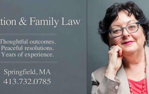 Family Mediation Lawyer in Massachusetts: How They Help?