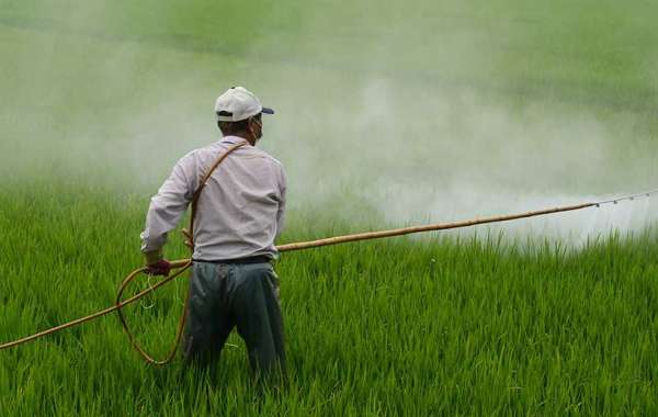 Global Insecticides Market Expected to Reach Highest CAGR By 2030
