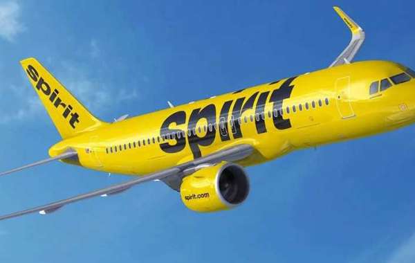 Spirit Airlines | Junior Jetsetters Can Fly at Minimal Charges Now